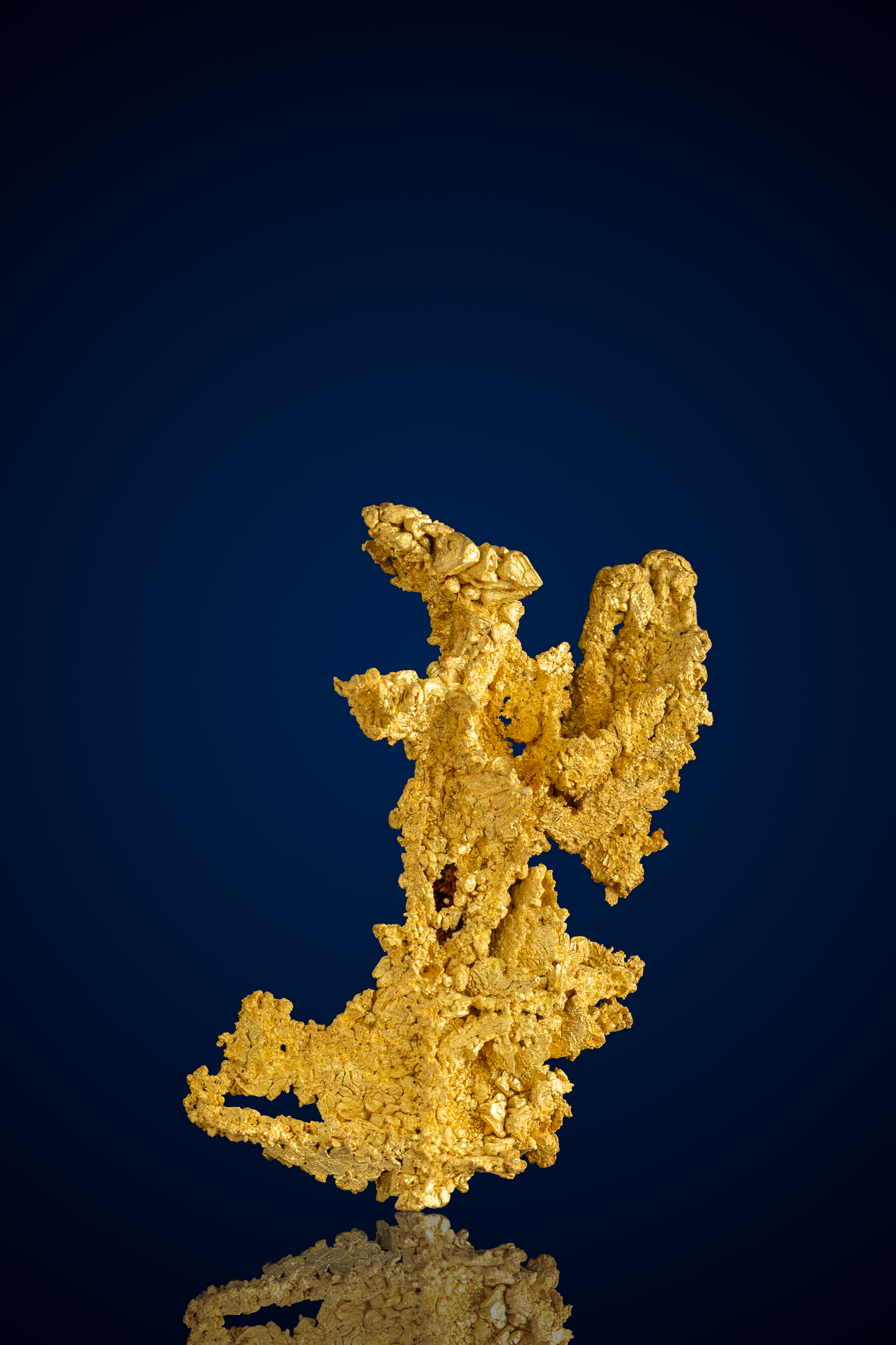 (image for) Lustrous, Organic Natural Gold Specimen - Farncomb Hill, CO - 8.38 grams